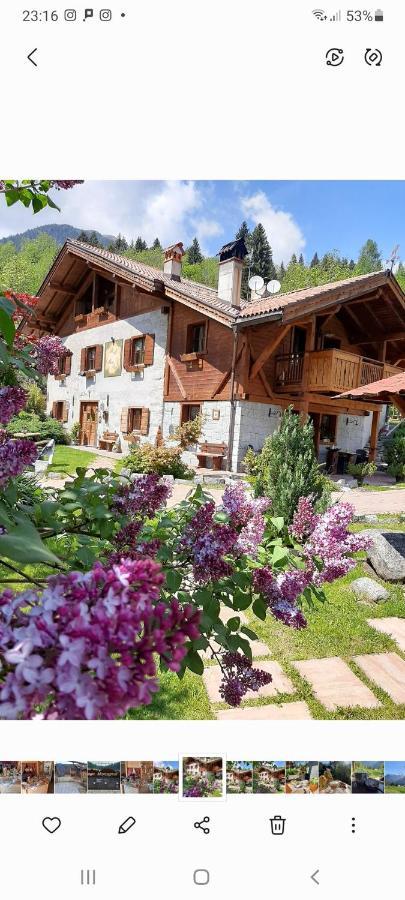 Maso Pin Bed & Breakfast